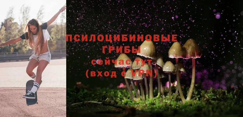 Галлюциногенные грибы MAGIC MUSHROOMS  Новое Девяткино 